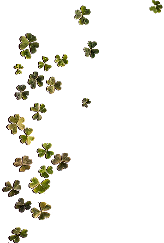 clover